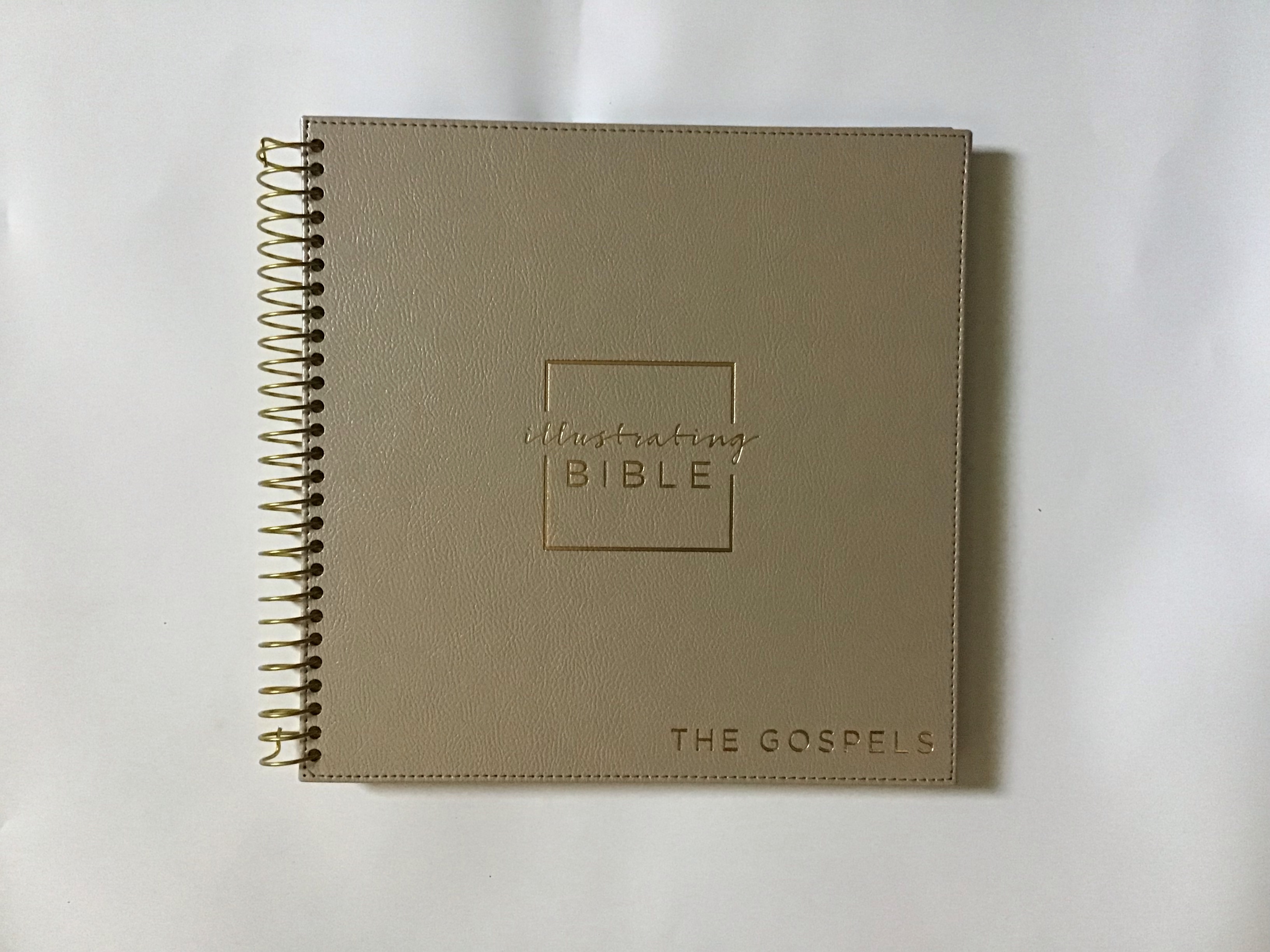 NIV Illustrating Bible – The Gospels – Bible Review – Bec Scribbles